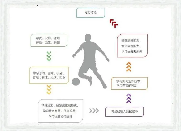 篮球训练法读后感怎么写_1